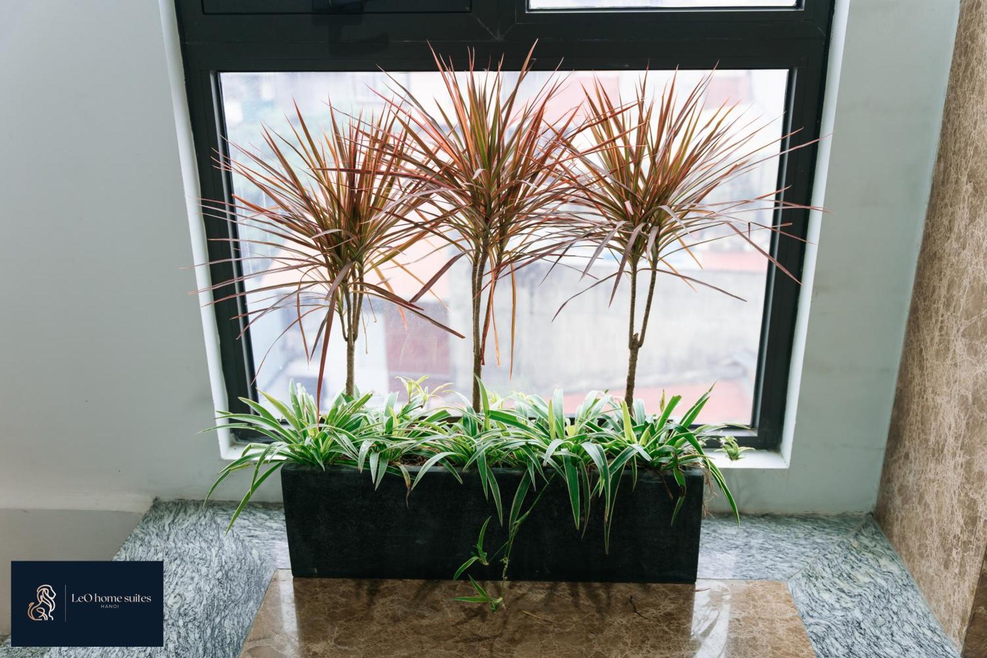 High-Ser Apartment -2Br - Niceview - Parking - Spacious - In Center Hanoi Zewnętrze zdjęcie
